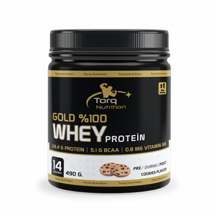 GOLD %100 WHEY PROTEİN 